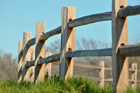 Unfinished wood will weather to gray for a handsome appearance; Split Rail Fence Things To Consider