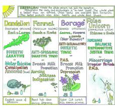 A Womans Healing Herb Wall Chart By Liz Cook Charts From