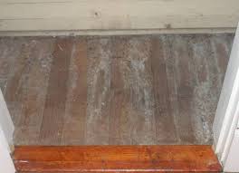 wood flooring mold problems dealing