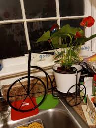 metal tricycle planter stand