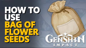 bag of flower seeds genshin impact how