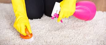 6 carpet cleaning tips that don t work
