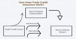 Content updated daily for credit insurance companies. How Does Trade Credit Insurance Work Securenow