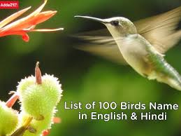 all 100 birds name in hindi and english