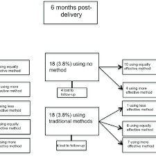 Flow Diagram Of Contraceptive Method Use And Switching Among