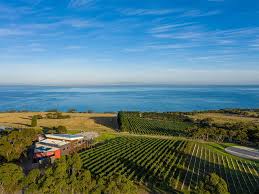 the best wineries in geelong and the