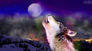 See more ideas about wolf art, wolf wallpaper, fantasy wolf. 67 Fantasy Wolf Wallpaper On Wallpapersafari