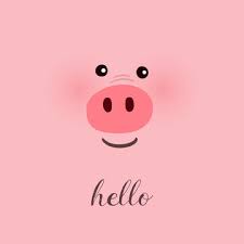 cute pig images browse 314 986 stock