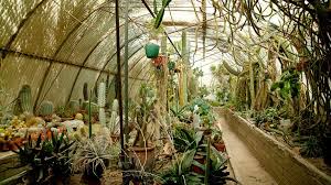 inside the moorten botanical garden of