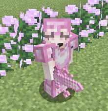 Invisible item frames with this small optional pack you can hide item frames, something you will find useful with decorations. Princess Pvp Cute Pvp Texture Pack 1 16 Update Minecraft Texture Pack In 2021 Minecraft Skins Aesthetic Pink Minecraft Minecraft Designs