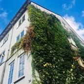 Romantic old town apartment in medieval zons. Hotel Pension Haus Schonewald Fruhstuckspension In Hessen