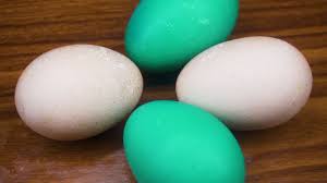 How To Dye Eggs With Food Coloring Without Vinegar 9 Steps