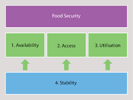 the four dimensions of food security