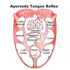Tongue Reflex Tongue Health Ayurveda Ayurveda Yoga
