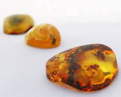 polish baltic amber
