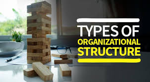 Types Of Organizational Structure Pm Study Circle