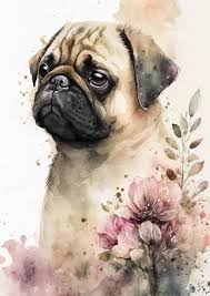 Pug Dog Watercolor Painting 19814424