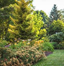 Among the most prized of ornamental trees, flowering crabapples have long been a staple of landscape gardening. 20 Tough Trees For Midwest Lawns Midwest Living