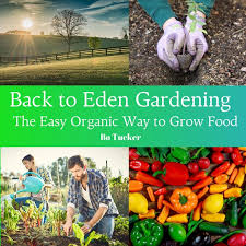 Easy Organic Way To Grow Food