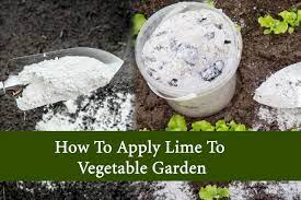 how to apply lime to vegetable garden
