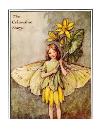 Flower Fairies Of The Spring Cicely