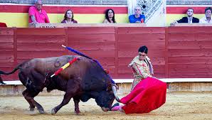 El buen toreo de Perera le abre la puerta grande | Todas las noticias de  Palencia
