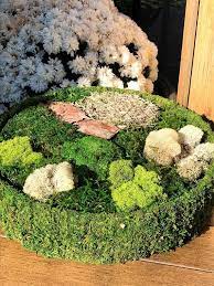 Diy Fairy Garden Preserved Moss Kit And