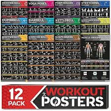 laminated large workout poster set