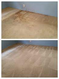 expert carpet cleaning south bay ca