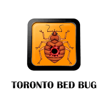 Toronto S Bed Bug Exterminator