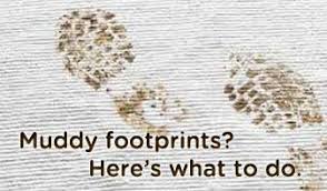 got muddy footprints on carpet get