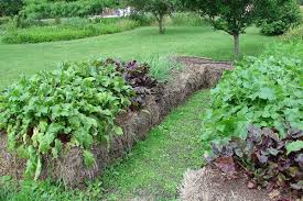 A straw bale garden bed starts with a bale of straw. Hay Bale Gardening What To Know The Family Handyman