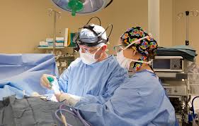 Lexington Surgical Associates Surgery Lexington Medical