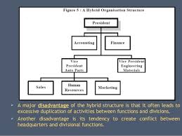 Organizational Structures On The Basis Of Functions