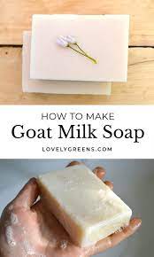 how to make goat milk soap cold