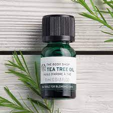 the body tea tree oil has so many uses