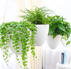 the best outdoor hanging planters to