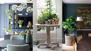 decorating with plants 11 ways to