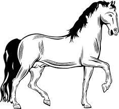 horse clipart images browse 44 723