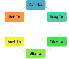 Green Tea Camellia Sinensis Chemistry And Oral Health