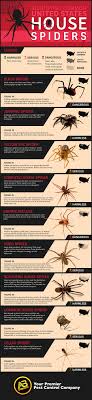 Identifying Common U S House Spiders Ab Pest Control Utah