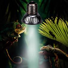 Uva Uvb 3 0 Pet Reptile Heating Lamp Full Spectrum Sunlamp Basking Light Bulb Ebay