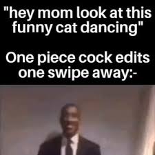 hey mom look at this funny cat dancing