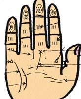 Image result for हथेली पर चक्र