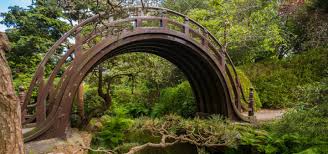 top 13 things to do in golden gate park
