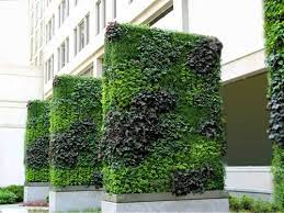 Artificial Outdoor Vertical Garden