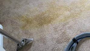 ucm carpet cleaning wayne
