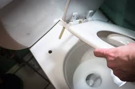 How To Remove Rusted Toilet Seat Bolts