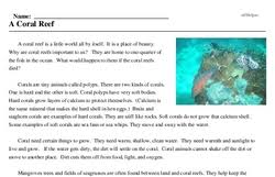 a c reef reading comprehension