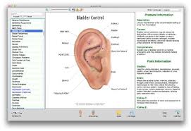 Amazon Com Auriculo 3d Auriculotherapy Software For Ear